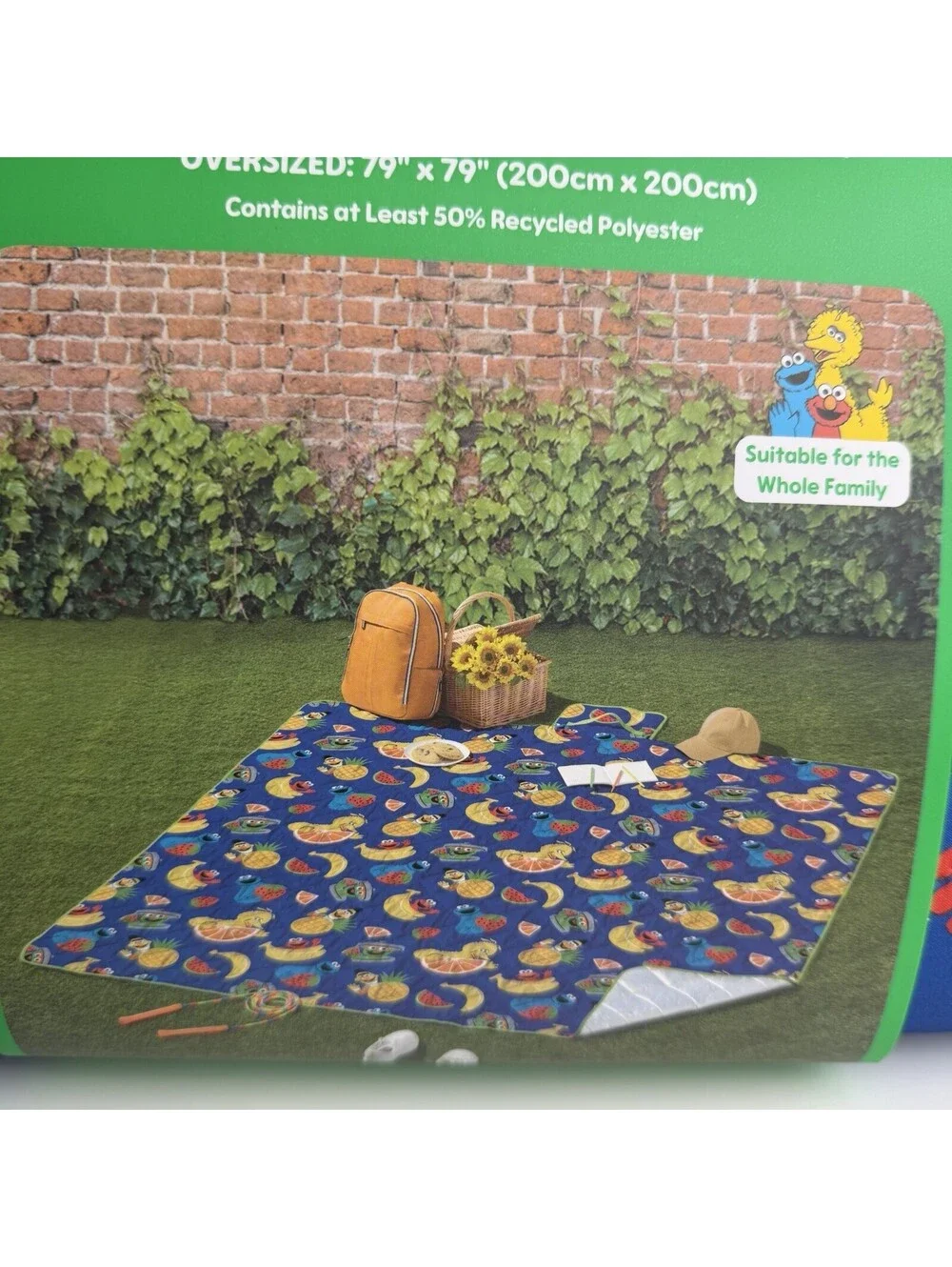 Sesame Street Outdoor Picnic Mat 79x79 Oversized Elmo Cookie Monster Fruit